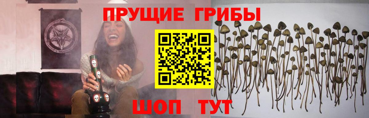 Галлюциногенные грибы ЛСД Сочи